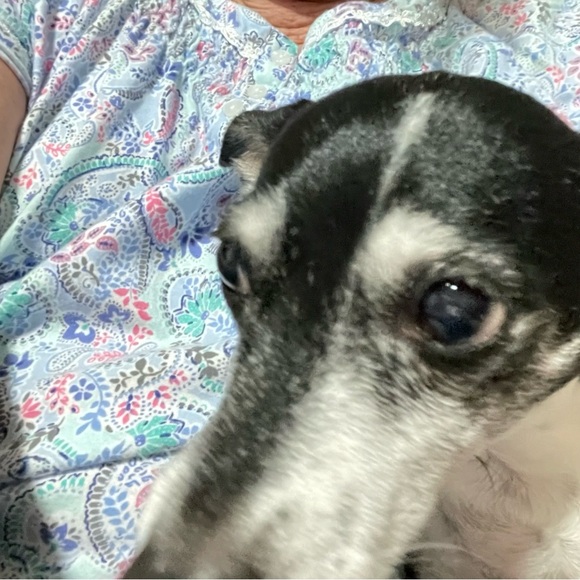 ALL PRICES NEGOTIABLE - Picture 11 of 13